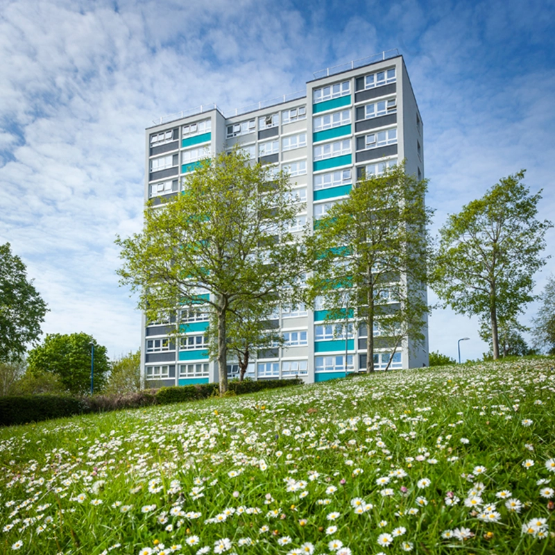 Our sustainability strategy